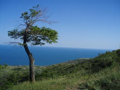 Прикрепленное изображение: P5310345.JPG